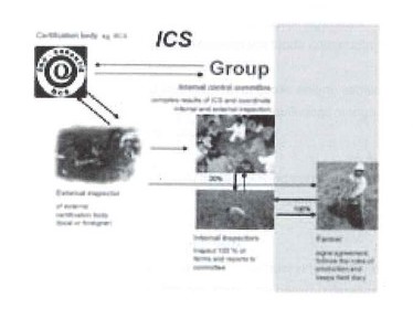 ICS